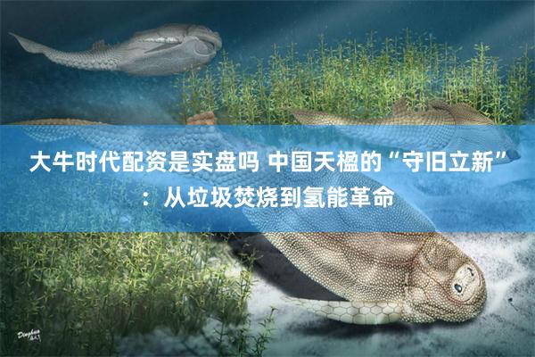 大牛时代配资是实盘吗 中国天楹的“守旧立新”：从垃圾焚烧到氢能革命
