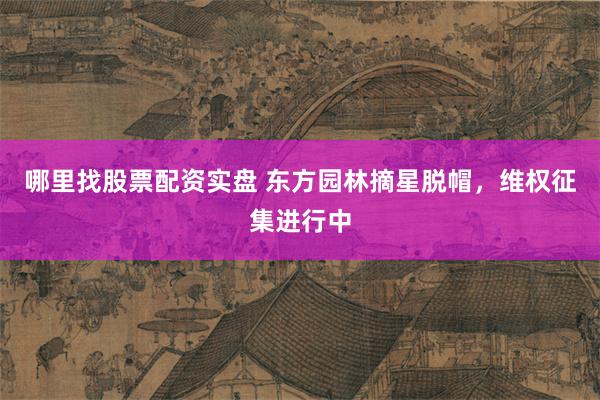 哪里找股票配资实盘 东方园林摘星脱帽，维权征集进行中