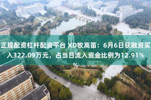 正规配资杠杆配资平台 XD牧高笛：6月6日获融资买入322.09万元，占当日流入资金比例为12.91%
