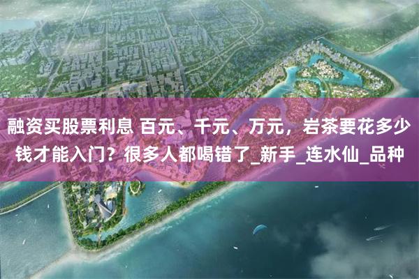 融资买股票利息 百元、千元、万元，岩茶要花多少钱才能入门？很多人都喝错了_新手_连水仙_品种