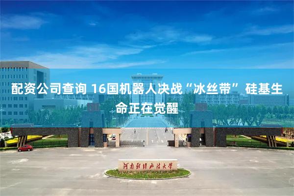 配资公司查询 16国机器人决战“冰丝带” 硅基生命正在觉醒